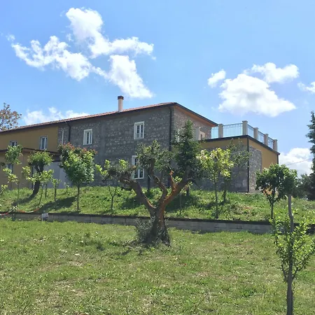 L'albero D'oro *