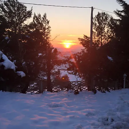 L'albero D'oro *